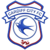 Cardiff-city (1)