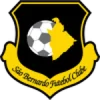 Sao-bernardo-fc (1)